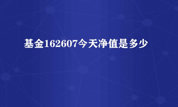基金162607今天净值是多少