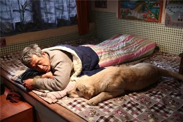 中国关于狗的电影十大排行榜 这些和狗相关的电影都看过吗