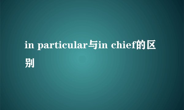 in particular与in chief的区别