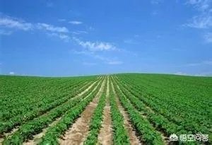 土地资源管理专业如何？就业前景呢？