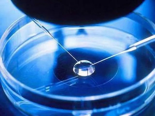 在上海仁济医院做供卵试管,流程是怎样的?