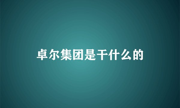 卓尔集团是干什么的