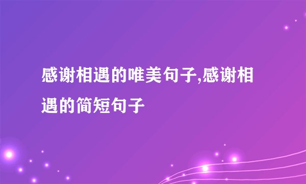 感谢相遇的唯美句子,感谢相遇的简短句子