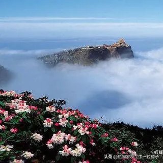 求峨眉山一日游最佳攻略?