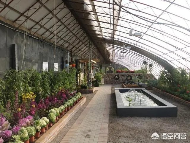 什么是设施农业？