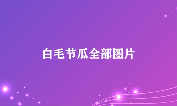 白毛节瓜全部图片