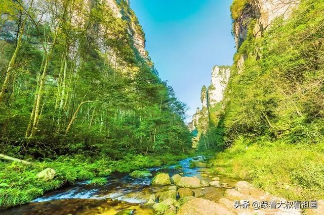 天门山国家森林公园  武陵源风景区区别