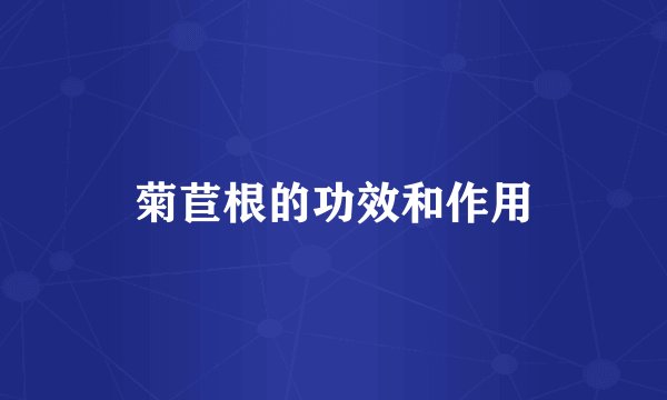 菊苣根的功效和作用