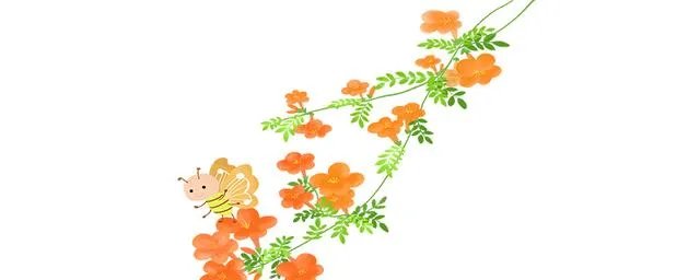 凌霄花花语是什么？