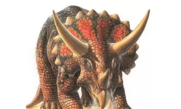 恐龙的名字和特征有哪些？