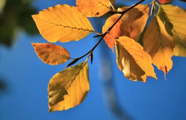 11月发的朋友圈文案说说 11月份发的朋友圈说说文案大全