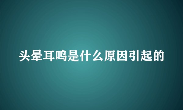 头晕耳鸣是什么原因引起的