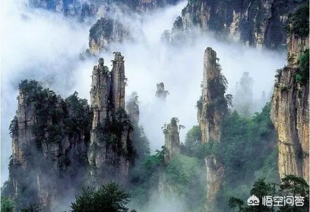 天门山国家森林公园  武陵源风景区区别