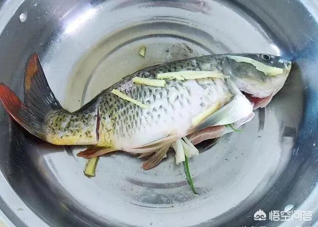 鲤鱼怎么做好吃？
