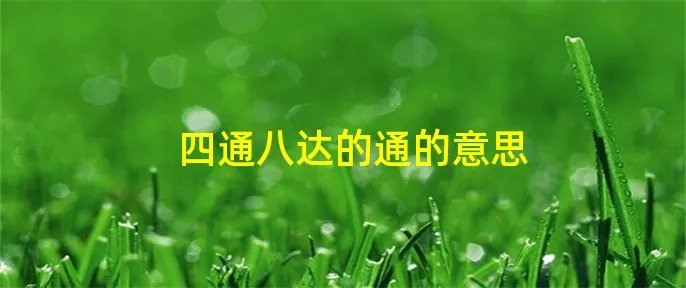 四通八达的通的意思