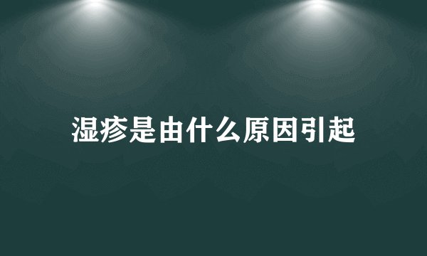 湿疹是由什么原因引起
