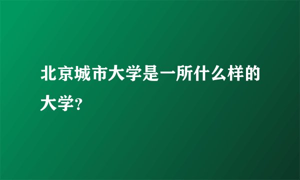 北京城市大学是一所什么样的大学？
