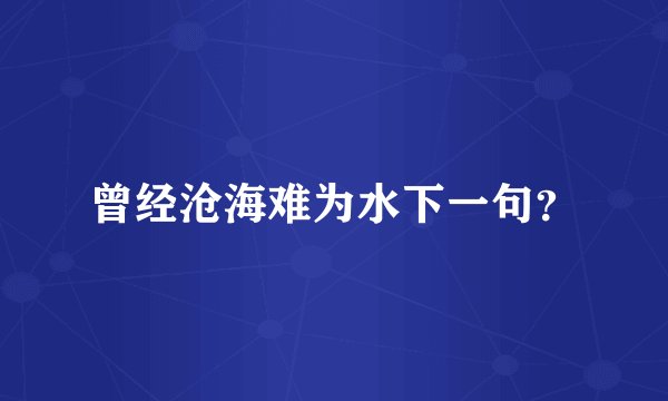 曾经沧海难为水下一句？