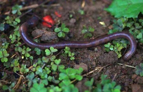 圆筒和圆柱有什么区别