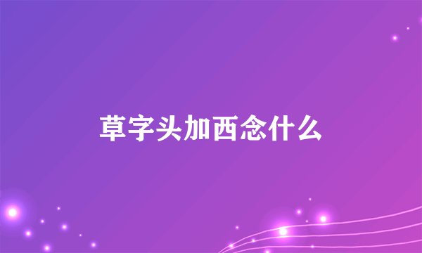 草字头加西念什么