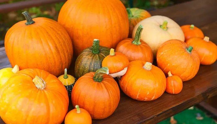 贝贝小南瓜蒸饭的做法