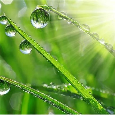 白细胞低是什么原因?