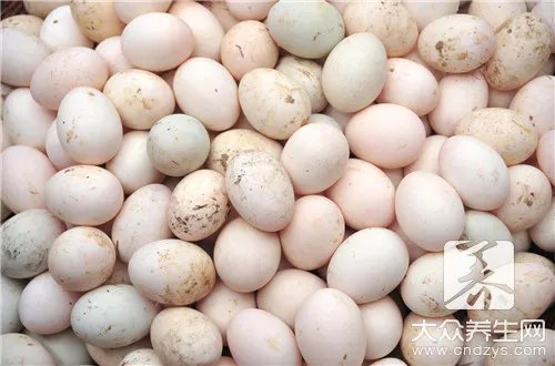 鸭蛋的营养价值及功效与作用
