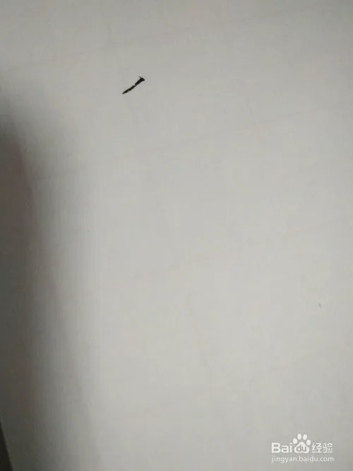 氏的笔顺和书写规范