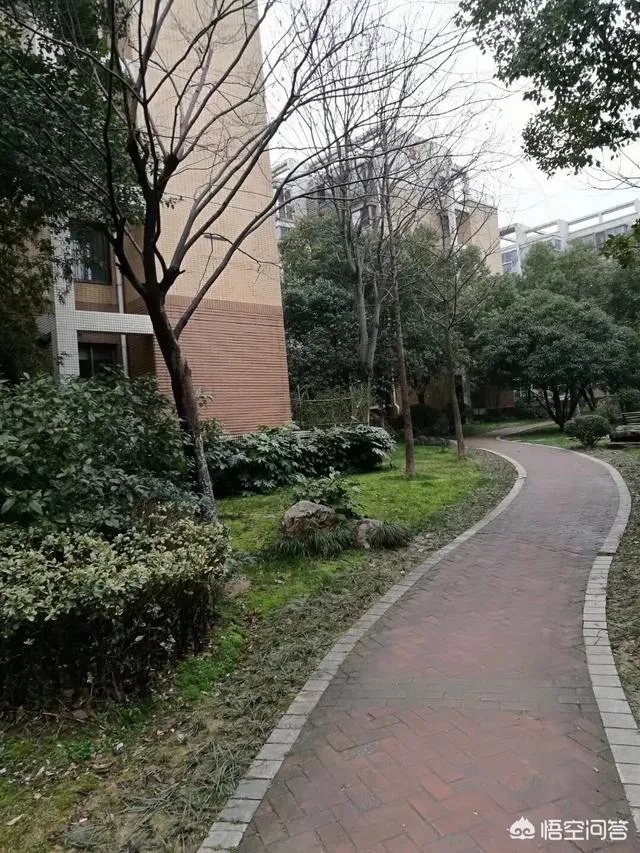 孩子马上上一年级了,送去好点封闭式学校住宿,还是去普通的不住宿学校好呢?为什么?