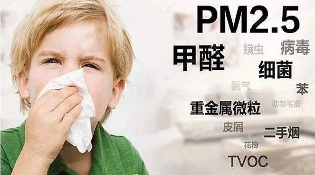 去甲醛公司真的有用么？