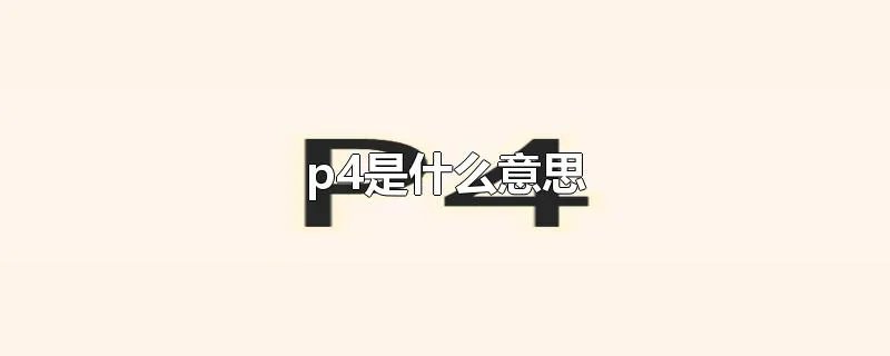 p4是什么意思