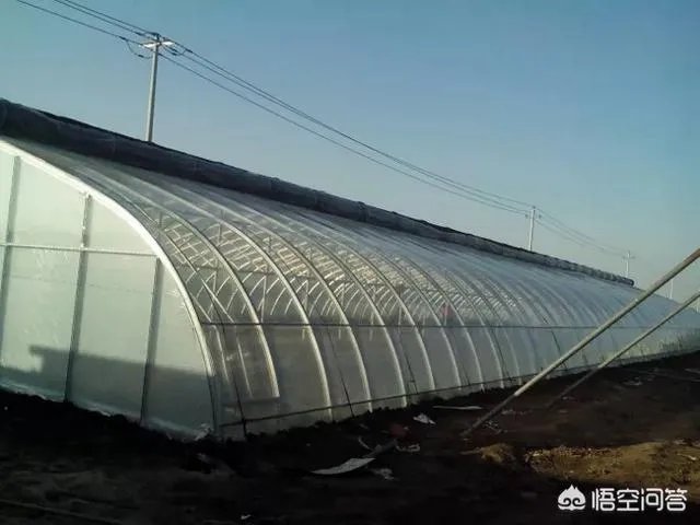 什么是设施农业？