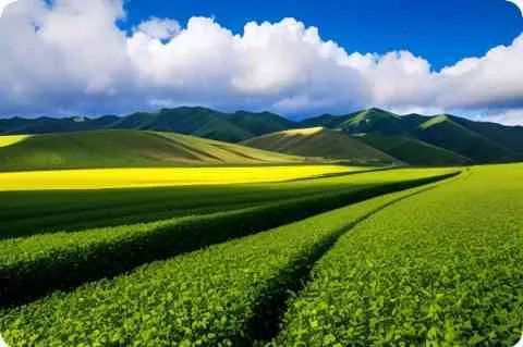 一个人很油是什么意思