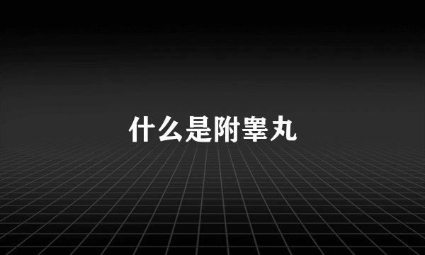 什么是附睾丸