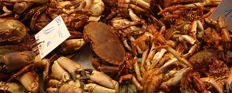 大闸蟹蒸多久最佳时间 大闸蟹蒸多久