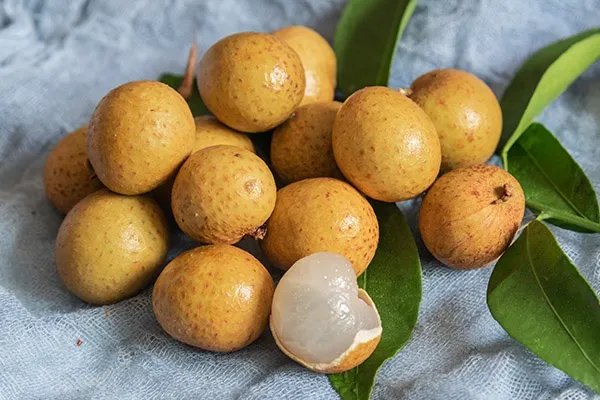 血压低最佳食补