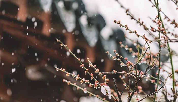 各得其所的意思