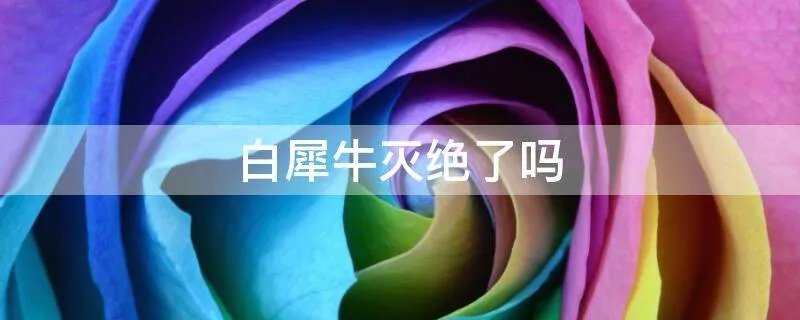 白犀牛灭绝了吗