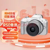 性能强且颜值高 这四款微单相机很受欢迎