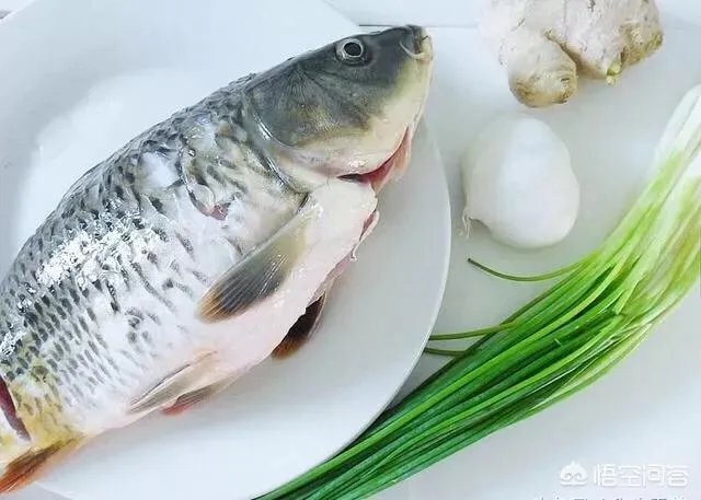 鲤鱼怎么做好吃？