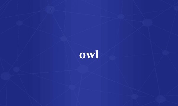 owl
