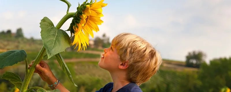 梦见孩子丢了什么意思 梦见孩子丢了意味着什么 