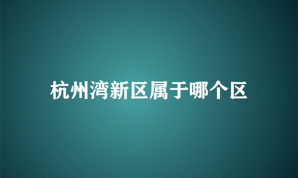 杭州湾新区属于哪个区