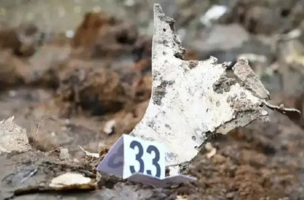 东航321空难事件,调查的怎么样了?