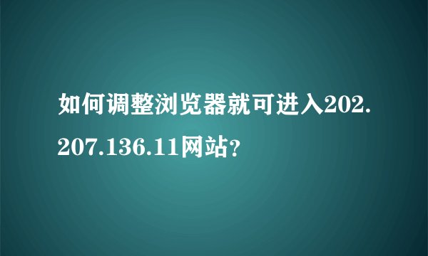 如何调整浏览器就可进入202.207.136.11网站？