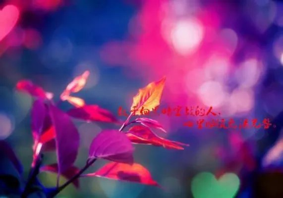 沈悠然季锦川小说 沈悠然季锦川顾瑾琛全文阅读