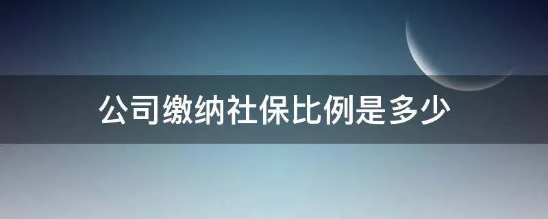 公司缴纳社保比例是多少
