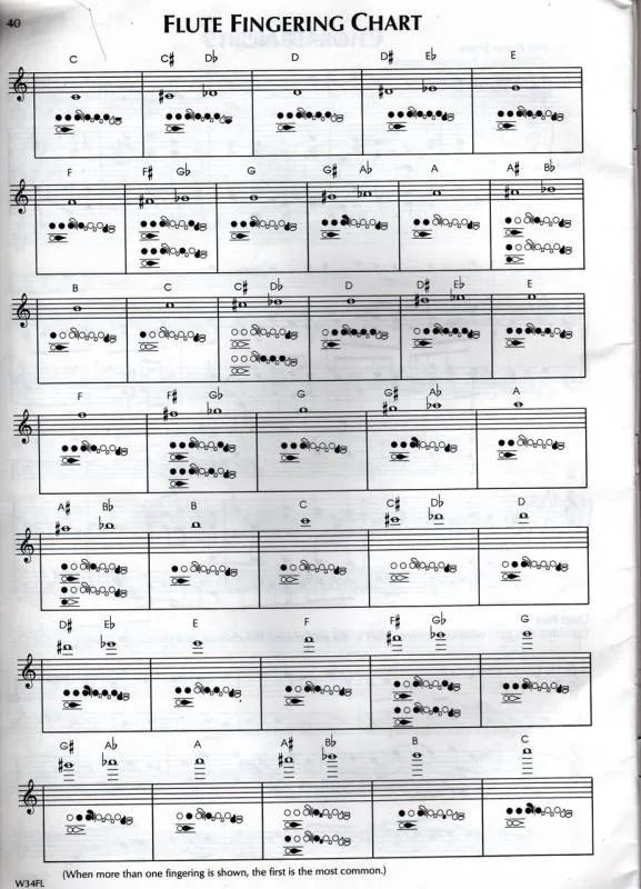 长笛指法表（我要中文！）