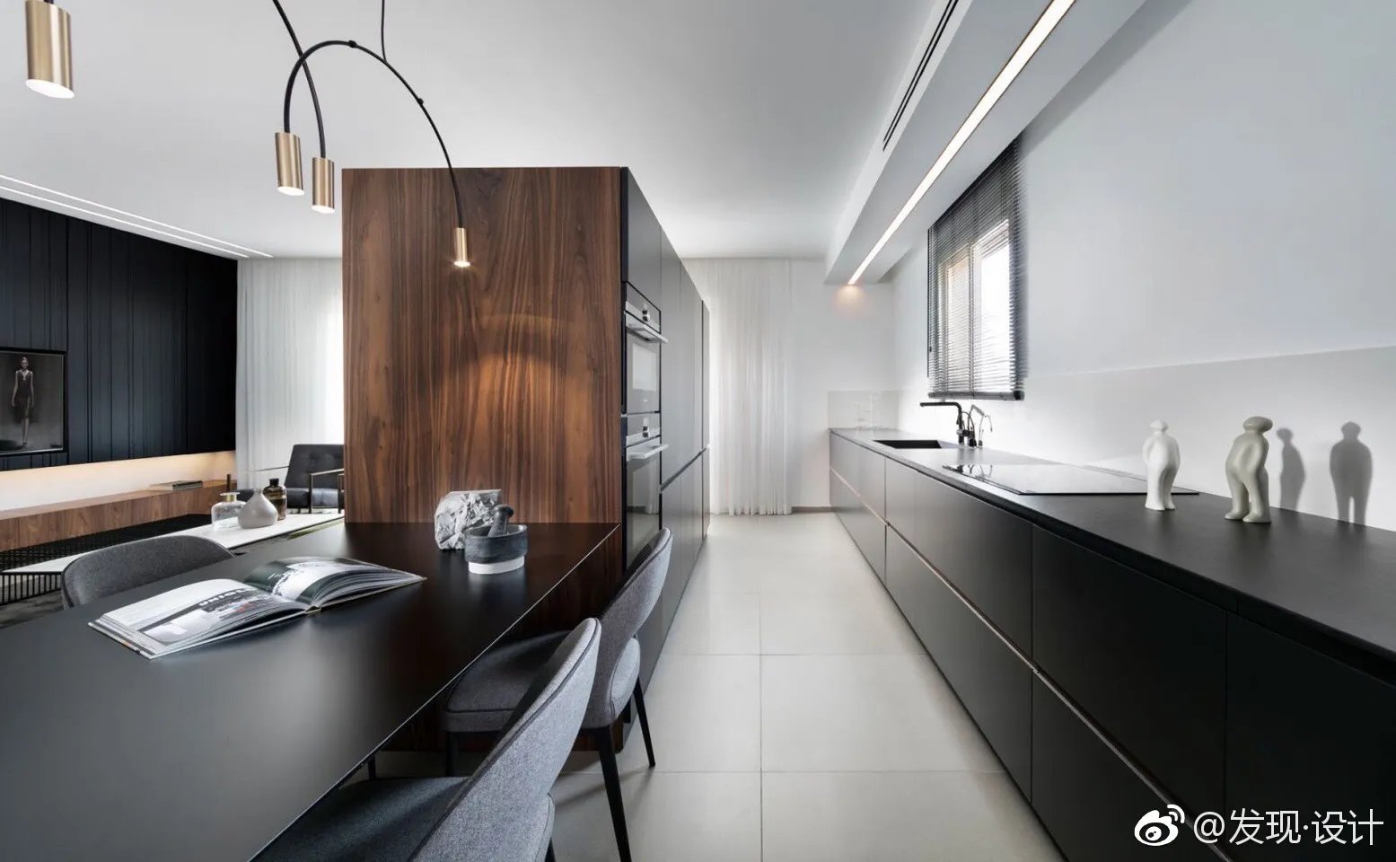 180㎡以色列荷兹利亚豪华公寓  erez hyatt