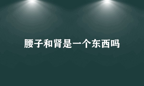 腰子和肾是一个东西吗
